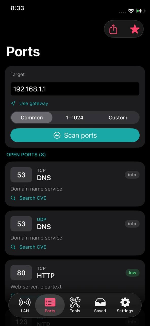 NetBlade iPhone · iPad — Ports: service, description and risk